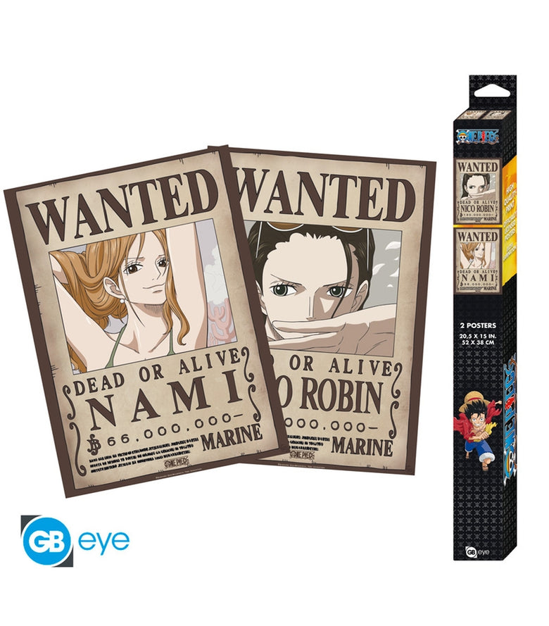 Póster Nami y Robin 52x38 One Piece
